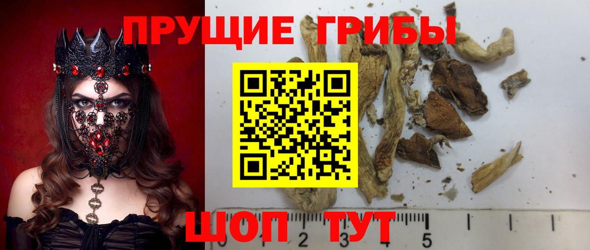 Галлюциногенные грибы ЛСД Иваново